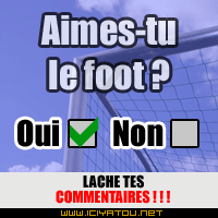 aimes tu le foot ???