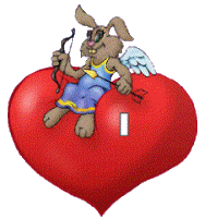 i love you !!!!!!!!!!!