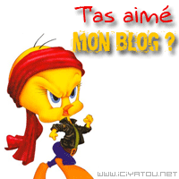 ta aimé ??