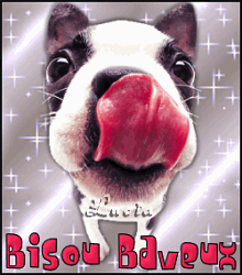ptit chien !
