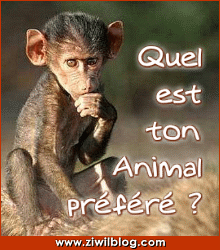 Quel est ton animal préf' ?